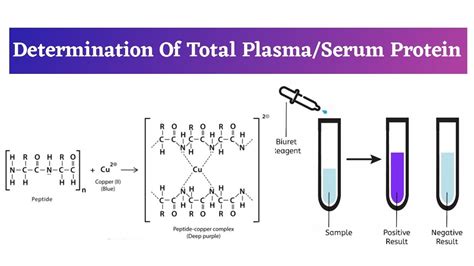 how to measure total proteins